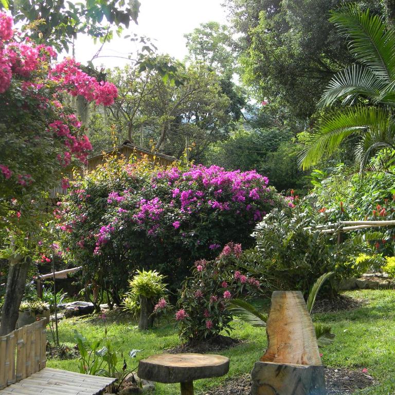 La Trini - Chalet - 38