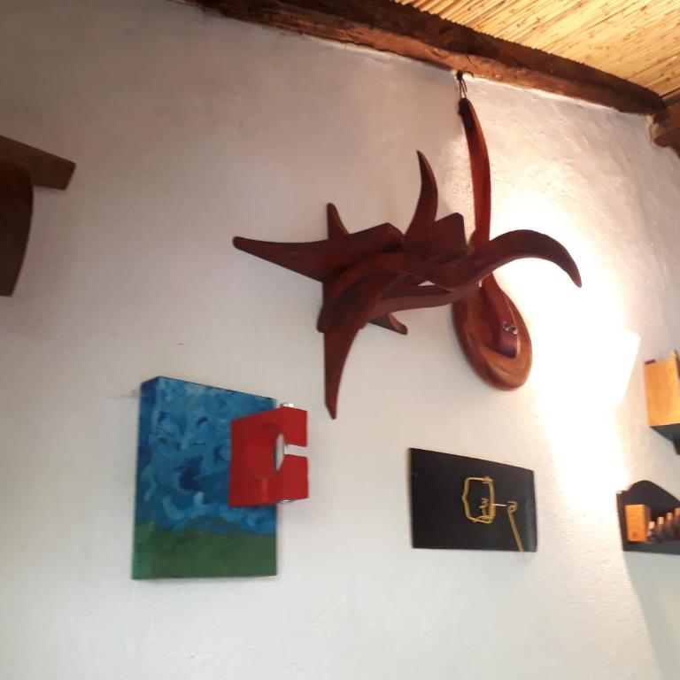Jacamaki- Eco-lodge & Reserva Natural - Double or Twin Room - 17