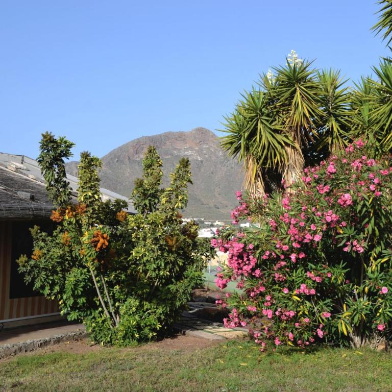 Casa del artista - Casa de 3 dormitorios - 49