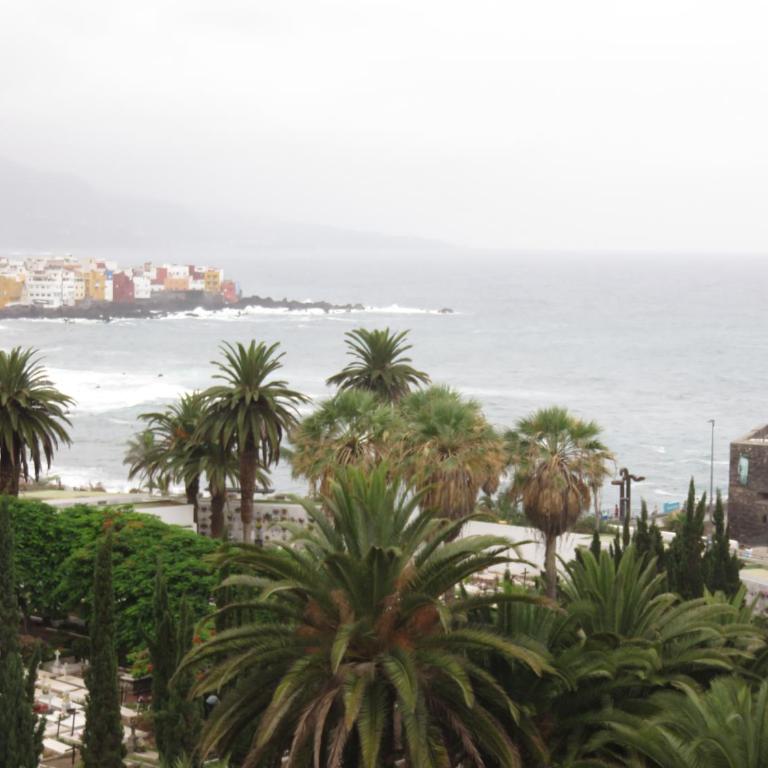 Céntrico Loft en el Puerto de la Cruz con Wifi y cerca de la playa - Apartamento - 33
