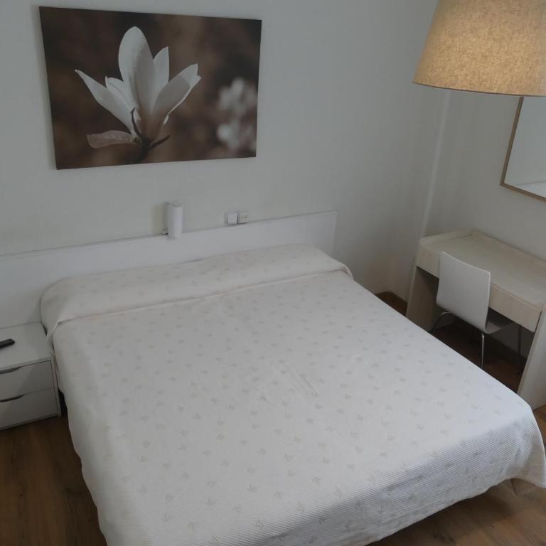 Hostal America - Camera Matrimoniale/Doppia con Letti Singoli - 2