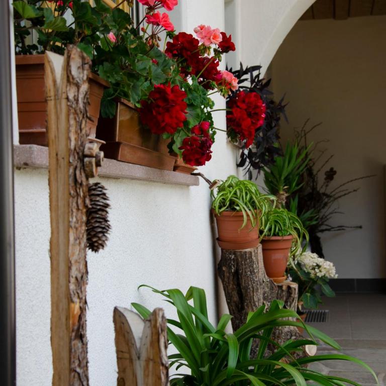 Schupferhof - Two-Bedroom Apartment - 13