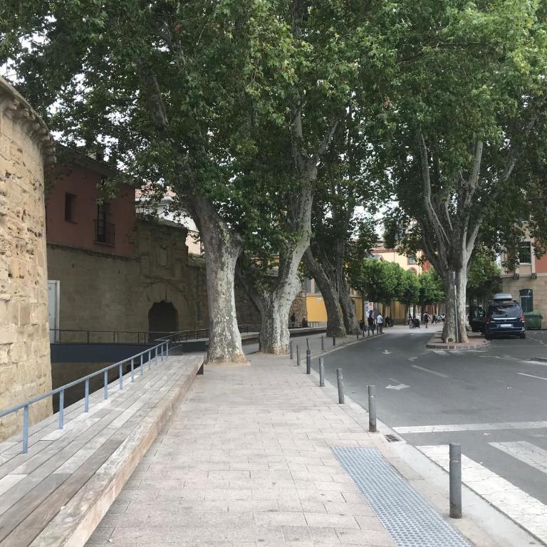 MURALLAS DE REVELIN & LAUREL -casco antiguo- - Apartamento Superior - 87