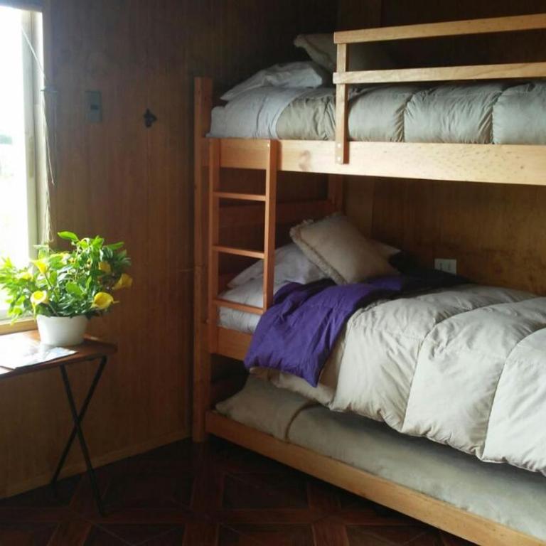 Se arrienda Cabaña por día en Puerto varas - Apartment - 2