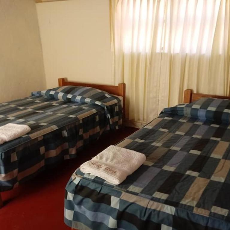 Tropical Lodge - Habitación Estándar con baño compartido - 2 camas - 1