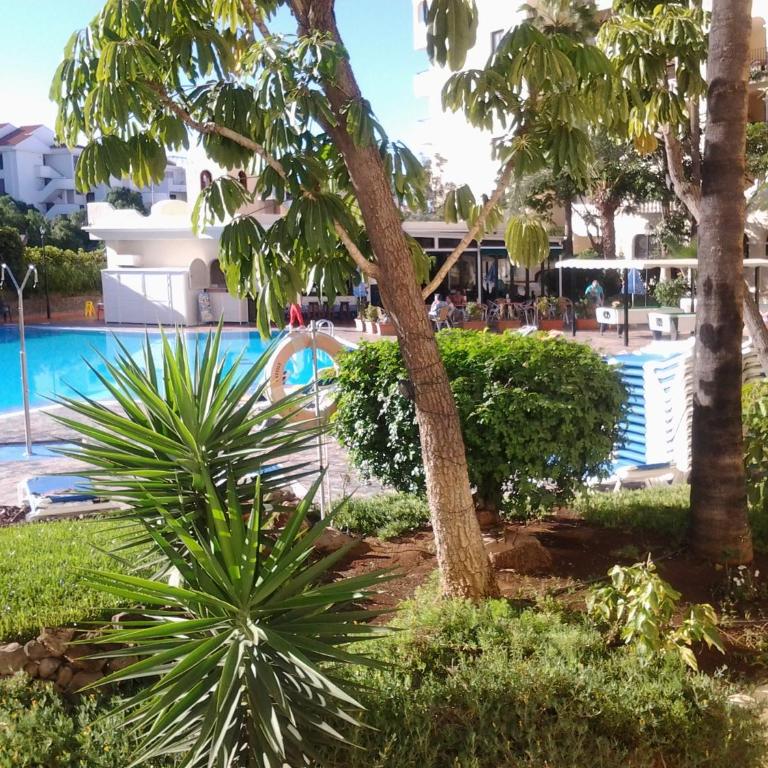 Popular Complex - Apartamento - 5