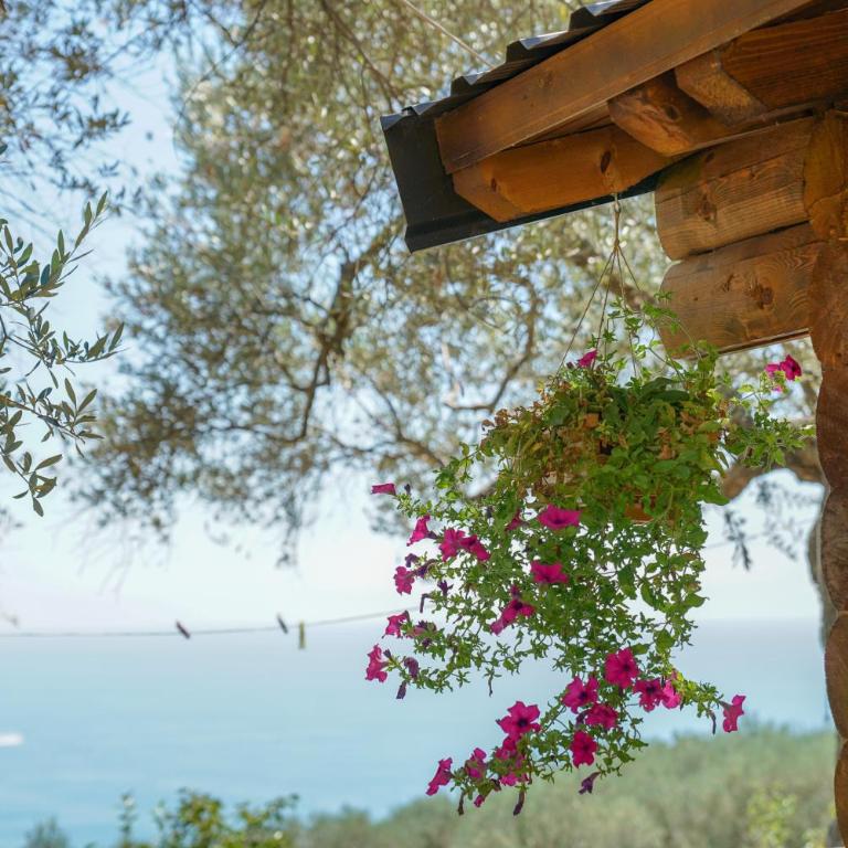 Holiday Park Olive Tree - Deluxe Bungalow with Garden View - 25
