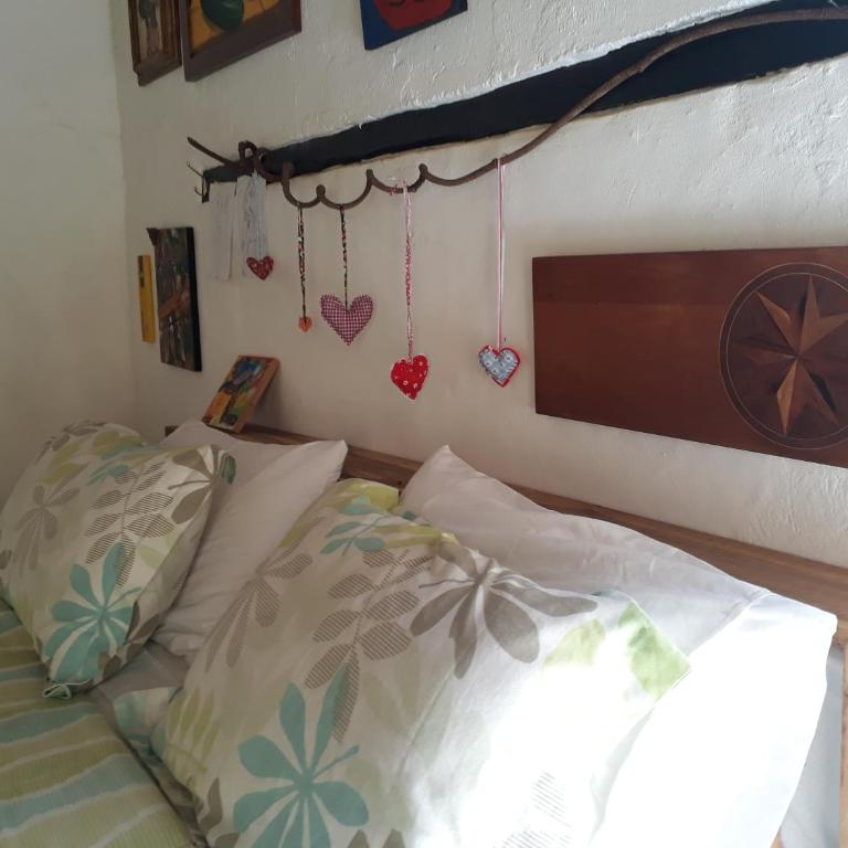 Jacamaki- Eco-lodge & Reserva Natural - Double or Twin Room - 17
