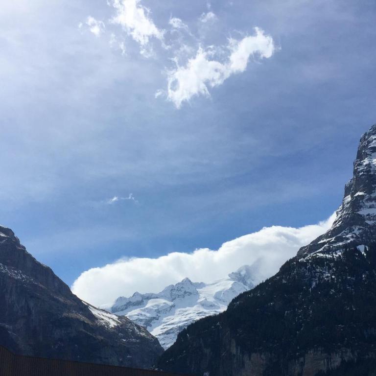 Amazing Apartment EIGER Grindelwald - Apartment mit Blick auf die Berge - 19