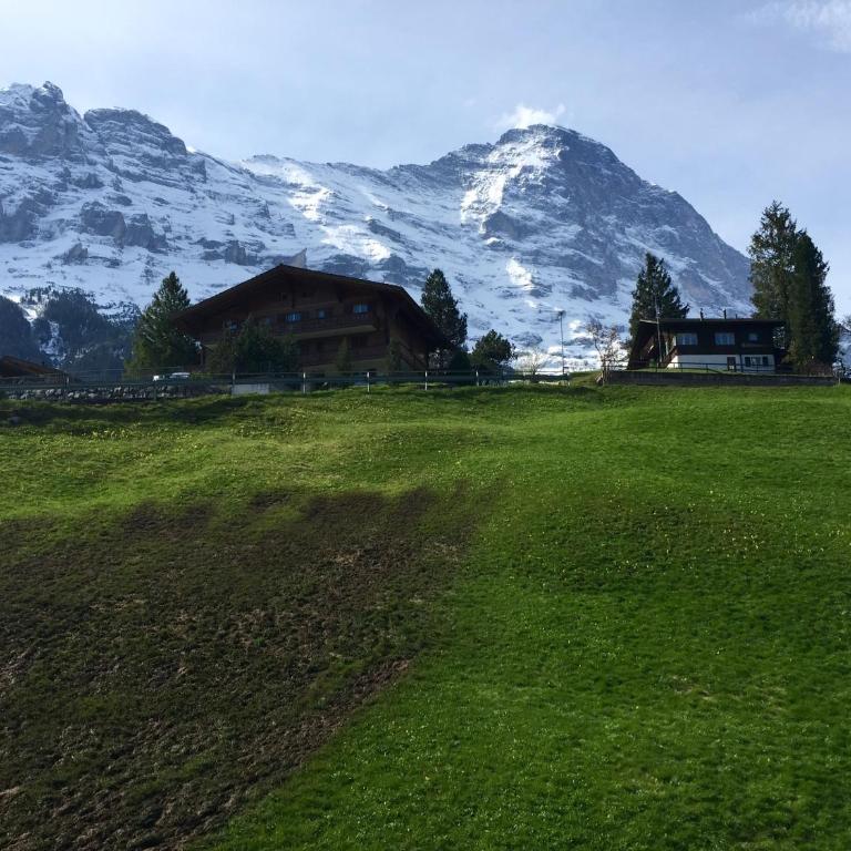 Amazing Apartment EIGER Grindelwald - Apartment mit Blick auf die Berge - 24
