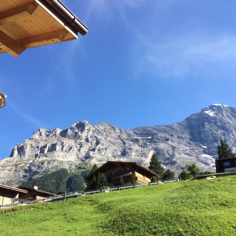 Amazing Apartment EIGER Grindelwald - Apartment mit Blick auf die Berge - 28