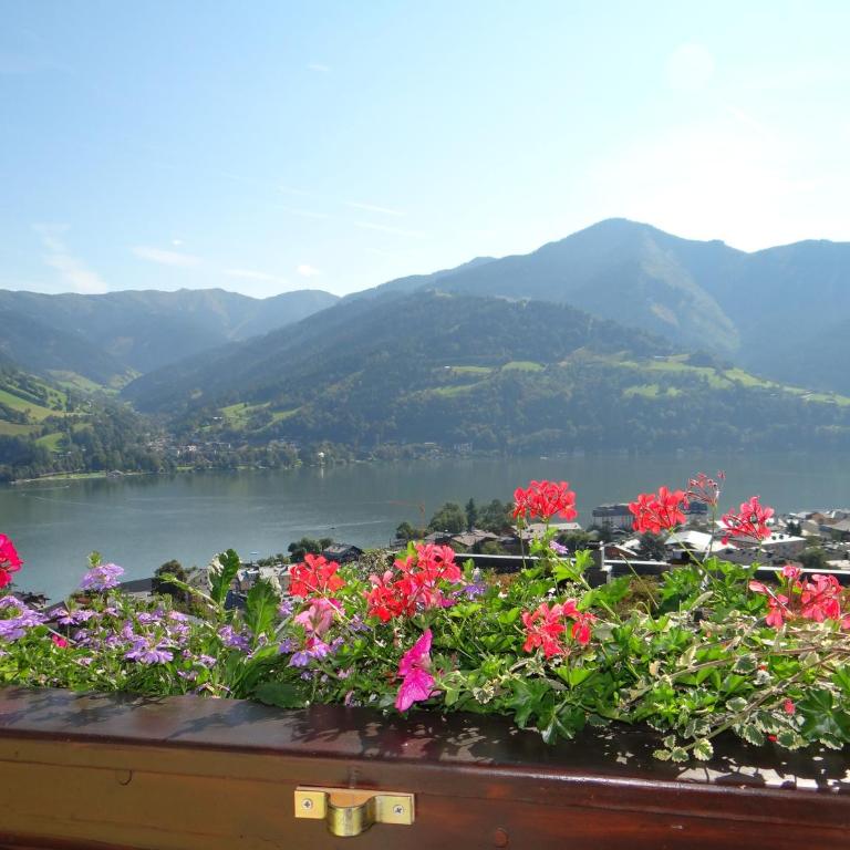Appartement Haus Sonnenheim - Apartment mit 1 Schlafzimmer, Balkon und Seeblick - 31