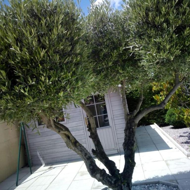 Villa Manet Portiragnes - Villa - 11