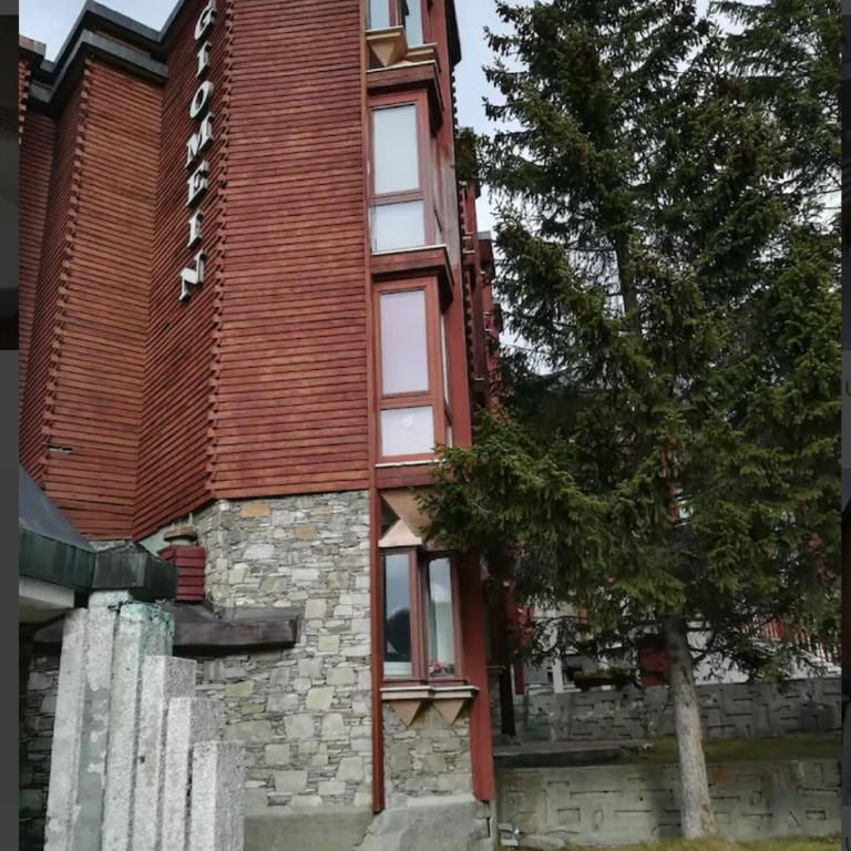 Suite in Cervinia - Appartamento - 14