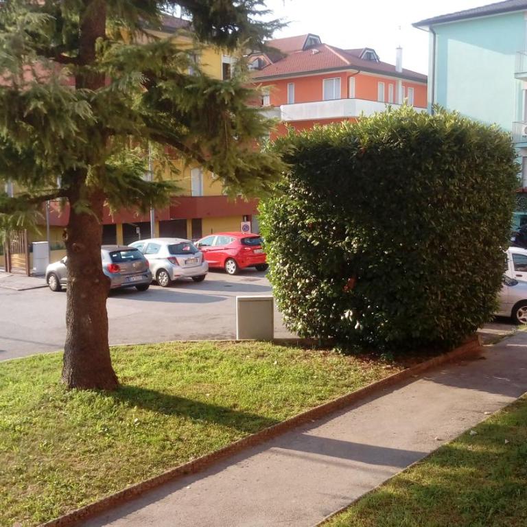 Appartamento Intero Bilocale Vicino all'ospedale e al centro storico Park free - Appartamento - 4
