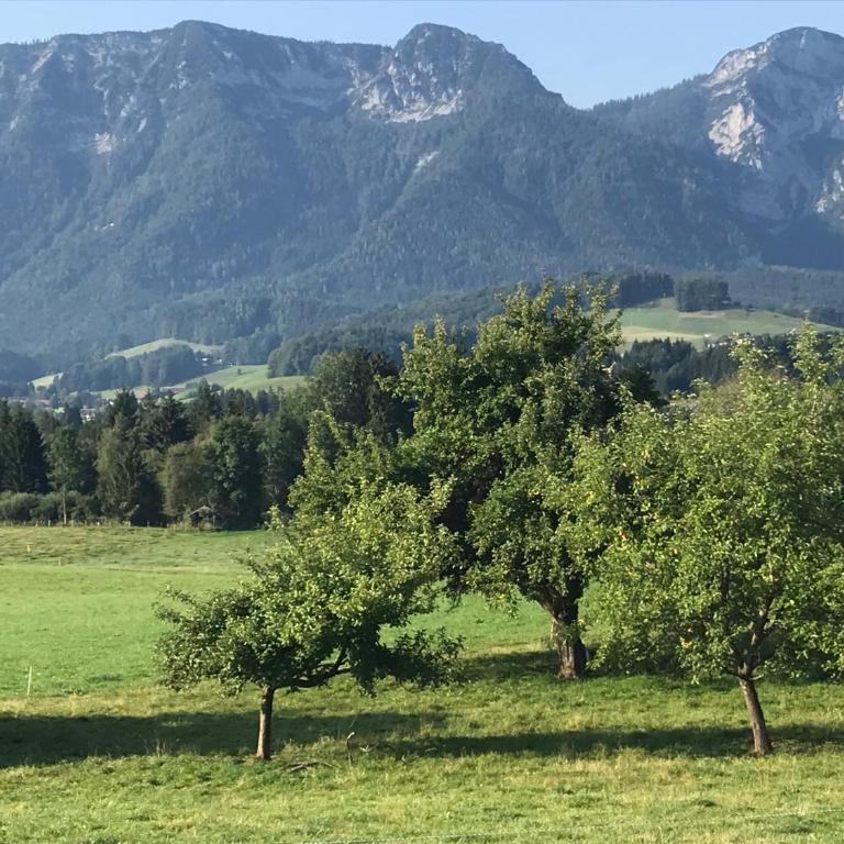 Haus Annerl Ferienwohnung mit 2 Schlafzimmern - Apartment mit 2 Schlafzimmern - 15
