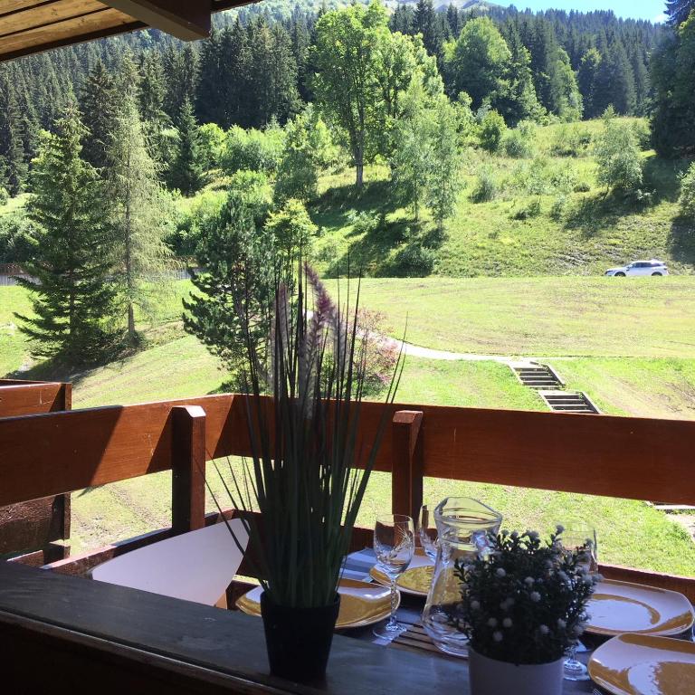 Duplex Apartment Right At The Ski Lift Tracks - Apartment with Mountain View - 14