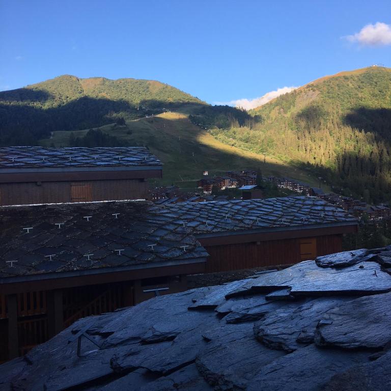 Duplex Apartment Right At The Ski Lift Tracks - Apartment with Mountain View - 21