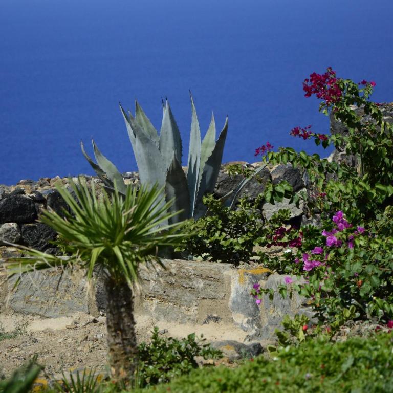 kammamia - One-Bedroom Apartment with Sea View - 2