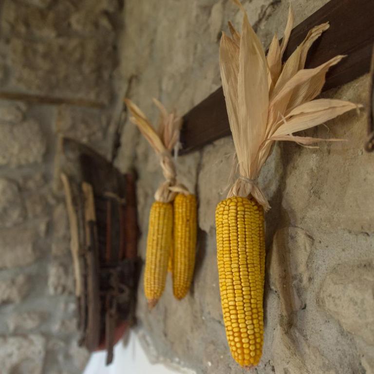 Fattoria Capobianco - Casa con 3 Camere da Letto - 13