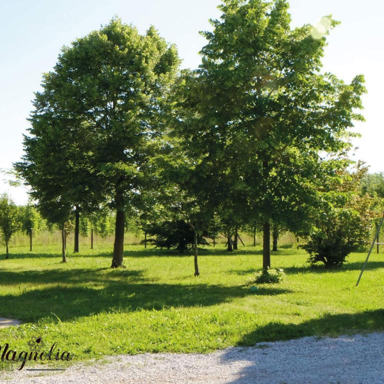 Ca'Magnolia - Casa Vacanze - 12