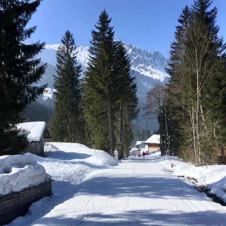 Chalet Marmotte M1 Penthouse for 8 - Superior Apartment - 22