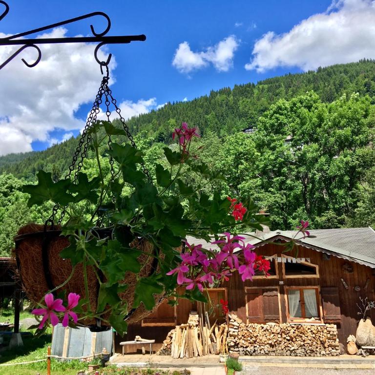 Chalet Marmotte M1 Penthouse for 8 - Superior Apartment - 18