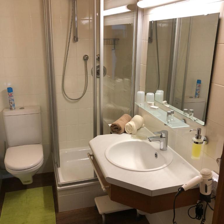 Haus Kneissl - Standard Apartment mit 1 Schlafzimmer und Balkon - 1