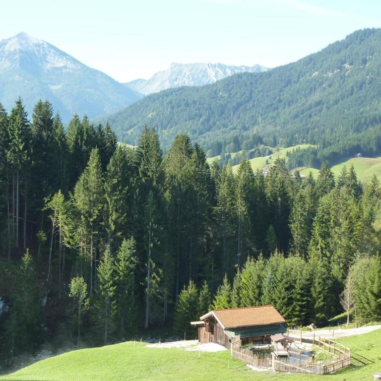 Tratlhof - Apartment mit 1 Schlafzimmer und Balkon - 2
