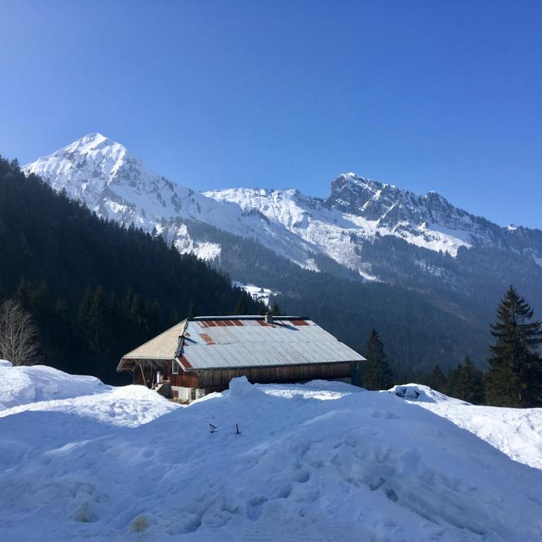 Chalet Marmotte M2 apartment for 8 - Apartment - 48