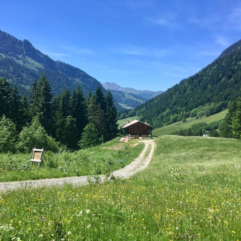 Chalet Marmotte M2 apartment for 8 - Apartment - 49