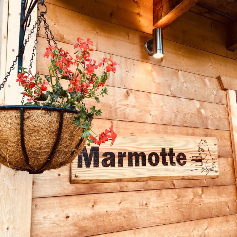 Chalet Marmotte M2 apartment for 8 - Apartment - 38