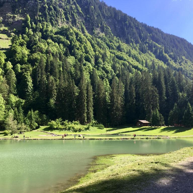 Chalet Marmotte M2 apartment for 8 - Apartment - 51