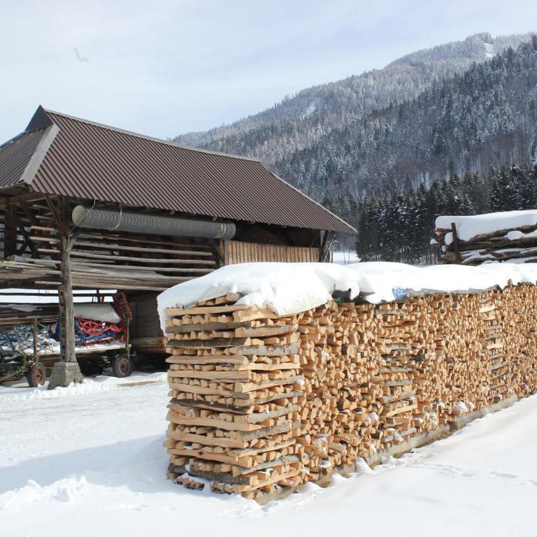 Dreiländerblick, Sauna en tafeltennis en 150 meter van piste - Ferienhaus - 33