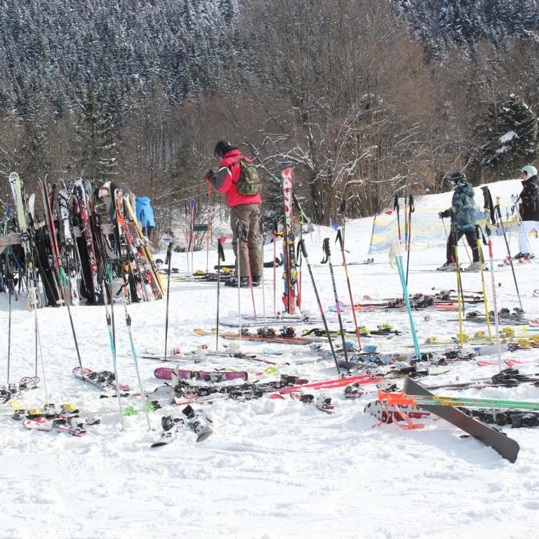 Dreiländerblick, Sauna en tafeltennis en 150 meter van piste - Ferienhaus - 34