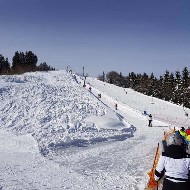 Dreiländerblick, Sauna en tafeltennis en 150 meter van piste - Ferienhaus - 39