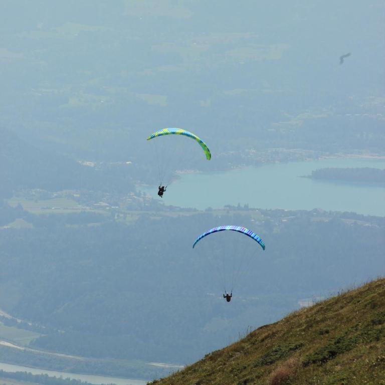 Dreiländerblick, Sauna en tafeltennis en 150 meter van piste - Ferienhaus - 48