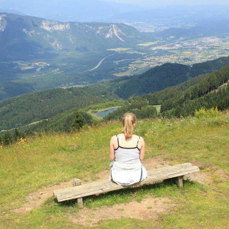 Dreiländerblick, Sauna en tafeltennis en 150 meter van piste - Ferienhaus - 42