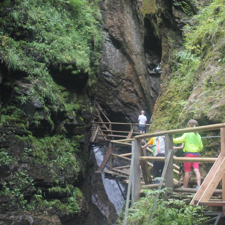 Dreiländerblick, Sauna en tafeltennis en 150 meter van piste - Ferienhaus - 53