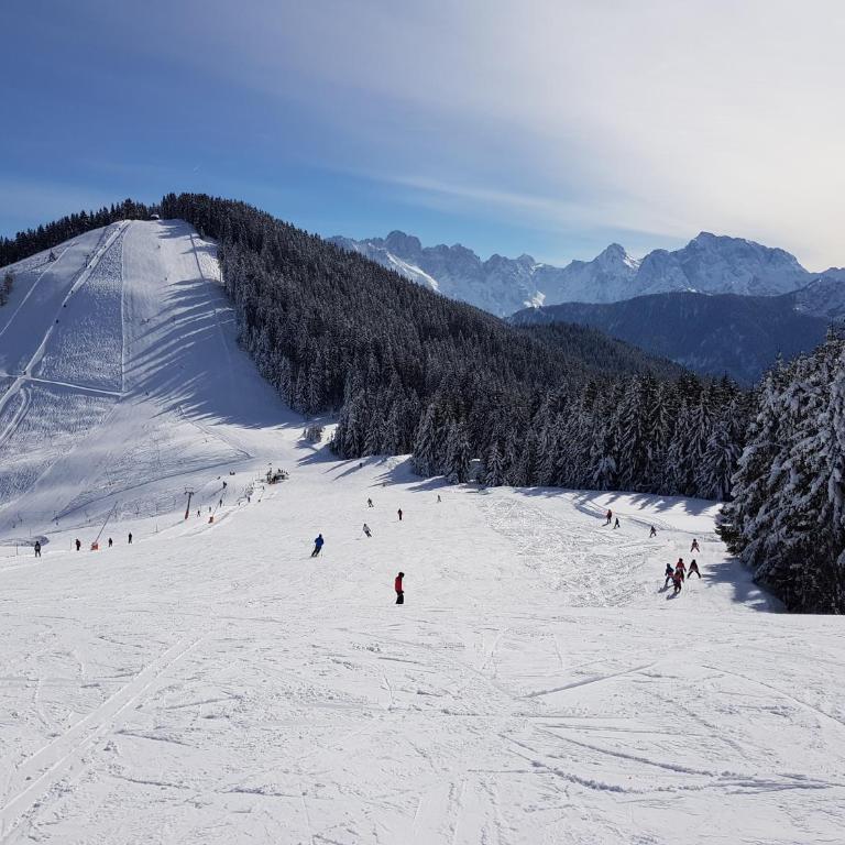 Dreiländerblick, Sauna en tafeltennis en 150 meter van piste - Ferienhaus - 36