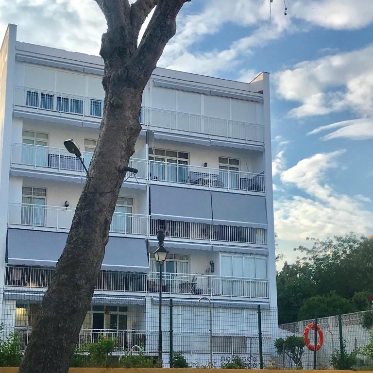 Apartamento benasol - Apartamento Superior - 18