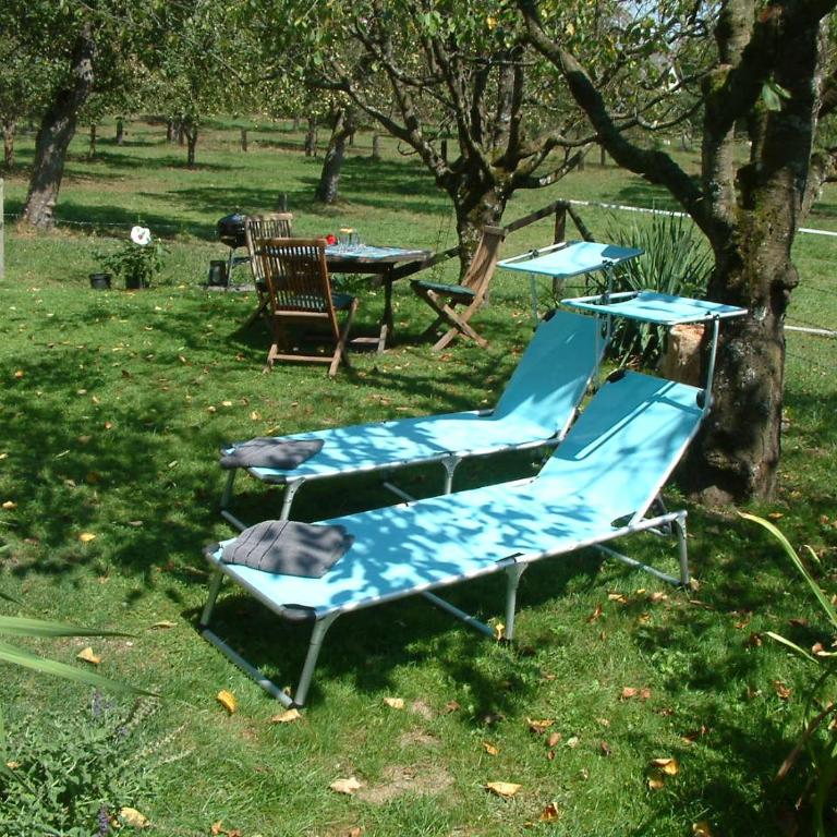 Ferienwohnung Woid Mandl - Apartment mit Terrasse - 31