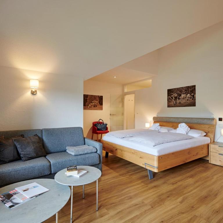 Concordia Vitalhotel & SPA - Studio - 1