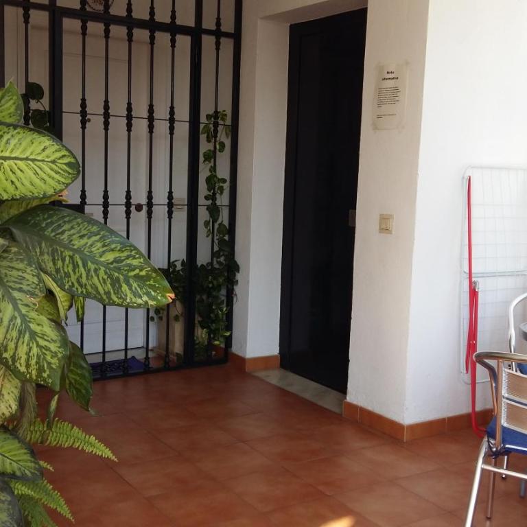 Apartamento Oasis - Apartamento - 20