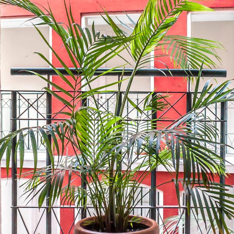 Conde Ibarra Central - Apartment - 23
