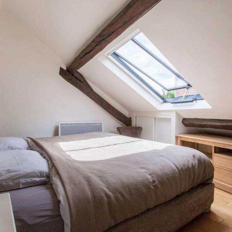 Luxurious Duplex - Top of Montmartre - Apartment (maximal 4 Personen) - 9