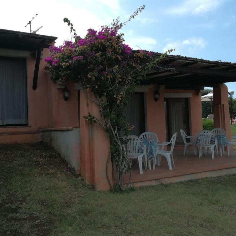 Villa con Piscina Stintino - Villa - 3