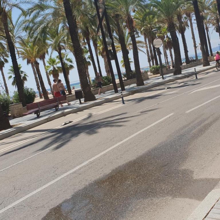 Miramar Nautic - Apartamento con vistas al mar - 30