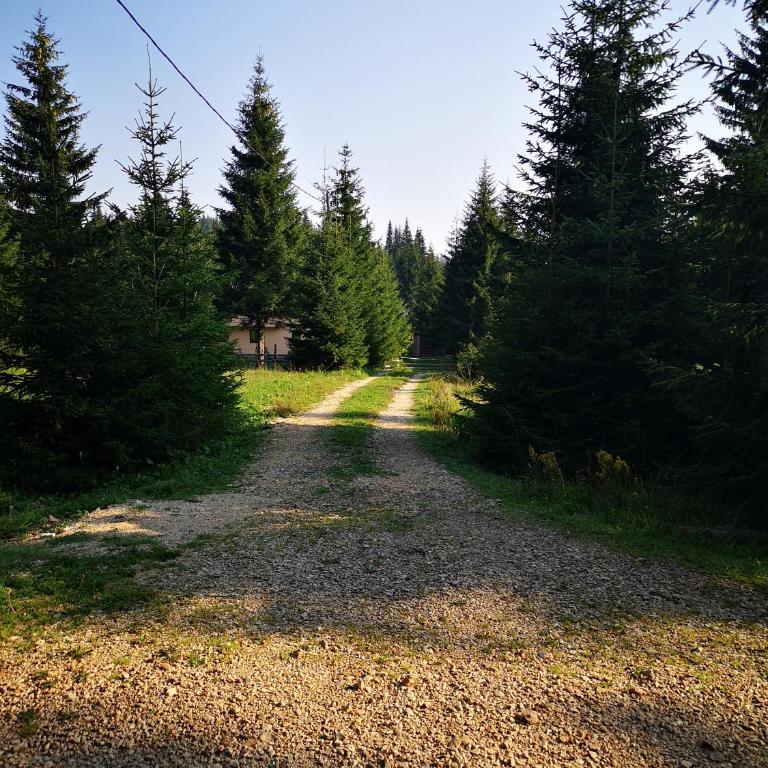 Snowhite Jahorina - Superior Chalet - 22