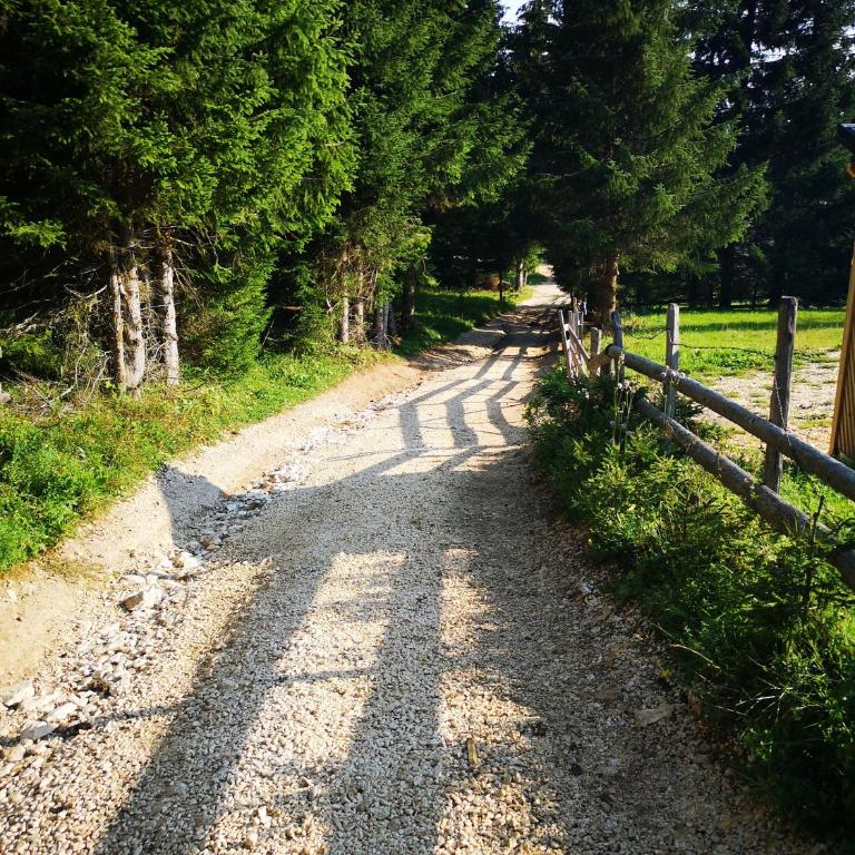 Snowhite Jahorina - Superior Chalet - 25